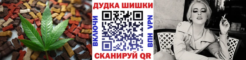 Купить закладки  Кировск  Печенье с ТГК конопля 