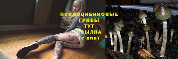 spice Новокубанск