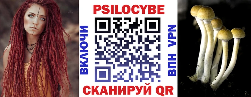 Купить  Кировск  Псилоцибиновые грибы GOLDEN TEACHER 
