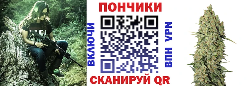 Купить где  Кировск  Каннабис ГИДРОПОН 